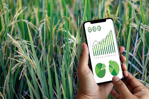 Egypt: Ebtekar Digital Agriculture Startup Program - Cycle 2