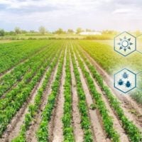 2023 UN WFF Startup Innovation Awards