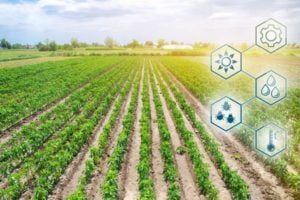 2023 UN WFF Startup Innovation Awards