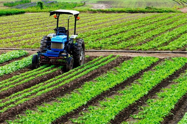 Apply for Sustainable Agriculture Challenge