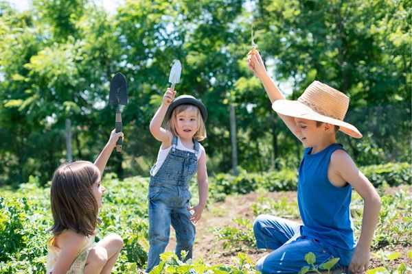 Tribal Maternal, Infant, and Early Childhood Home Visiting Program: Development and Implementation Grants in the US