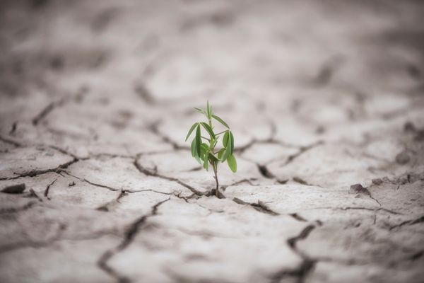 GCA Local Adaptation Champions Awards: Receive a cash prize of €15,000