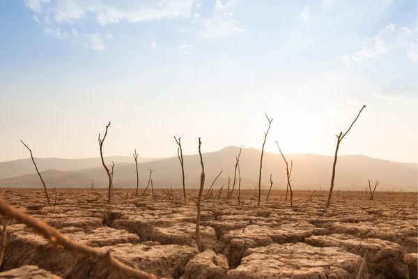 GLF Climate 2022 Photo Competition