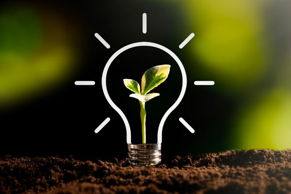 Small Grants - Environment in the UK