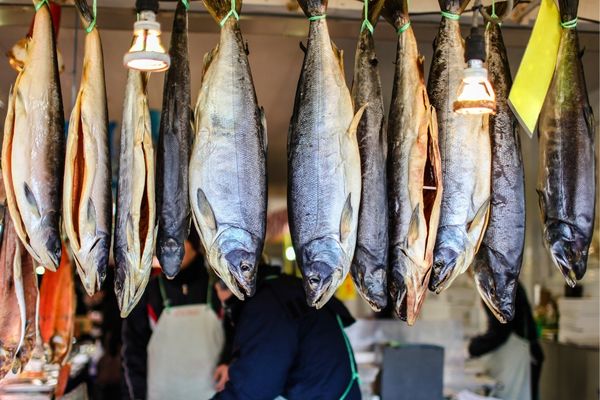 Open Call for Management of Fish Market Operations at Roseau Fisheries Complex (Dominica)