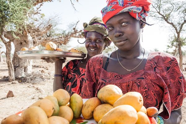 USAID: Feed the Future (FtF) Mali Yarnudè
