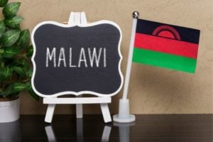 UNDP Call for Project Concepts: GEF Small Grants Programme 7th Operational Phase in Malawi
