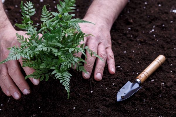 2nd Cascade Funding Call for Small Forest Owners’ Organisations