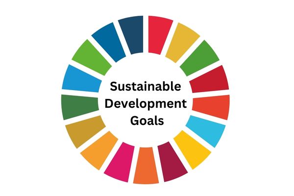 Call for Applications: Lead2030 Challenge for SDG13