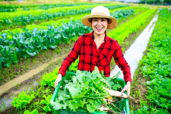 2023 AGISP Small Grant Funding: Growing your Agribusiness in Australia
