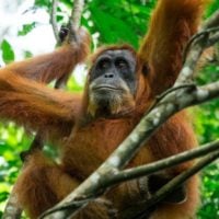 Exploration Fund - fundsforNGOs Exploration Fund