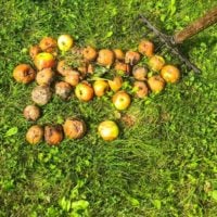 Waste Minimisation Fund - New Zealand