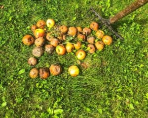 Waste Minimisation Fund - New Zealand