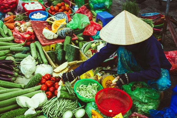 Open Call to Enhance the Resilience of Social Impact Businesses in Viet Nam