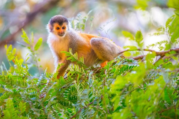 The Explorers Club launches Rising Explorer Grant
