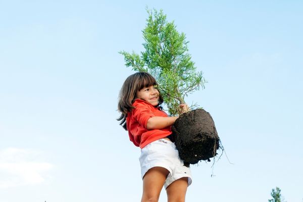 Budding Botanist Grant ($1,000 in funding) in the United States