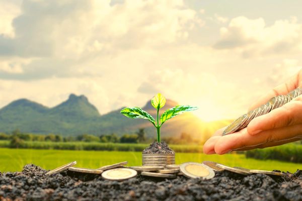 Seeds of Hope Granting Program to support Much-needed Projects (Canada)