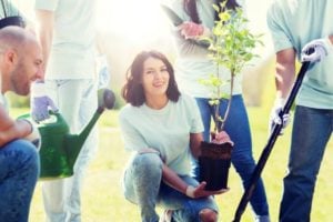 Apply for Seed Sourcing Grant Programme – United Kingdom