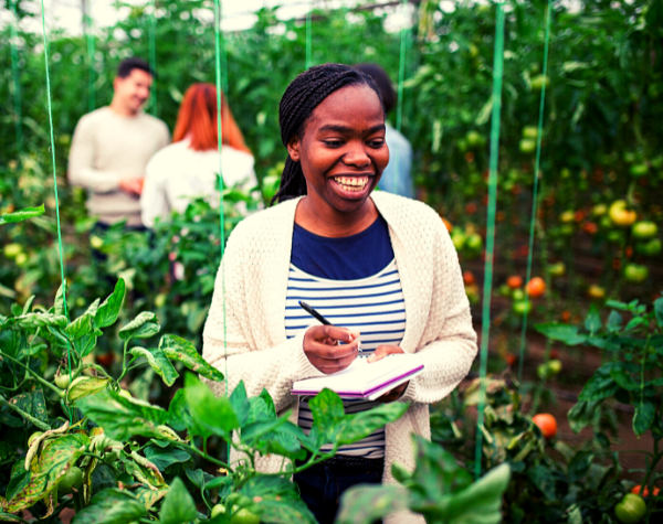 Agri-biz: Decent jobs for Youth and Women in Agricultural Value Chains in Kenya