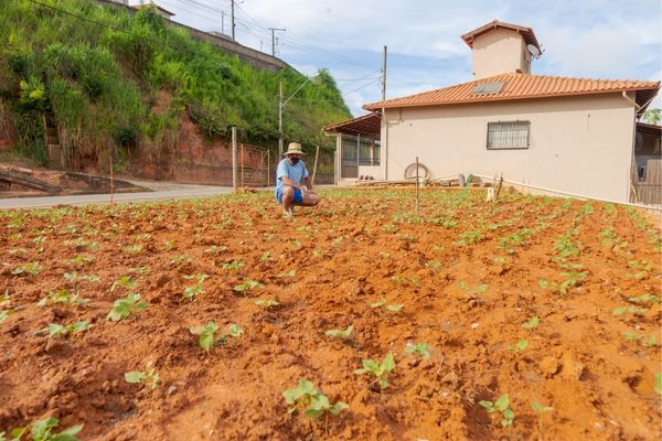 NOFO: Community Agriculture Grants in the US