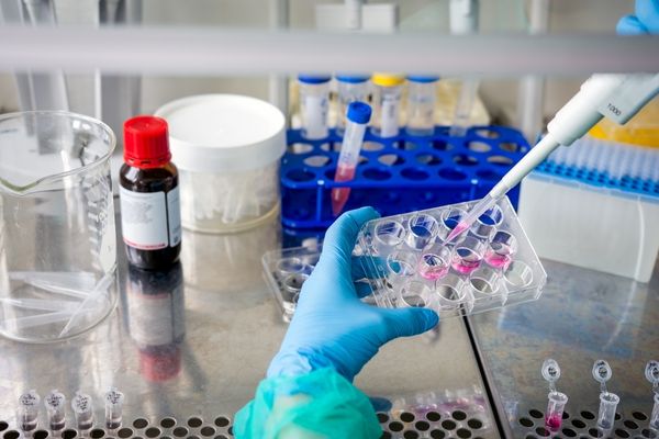 Pezcoller Foundation-EACR Translational Cancer Researcher Award in Europe