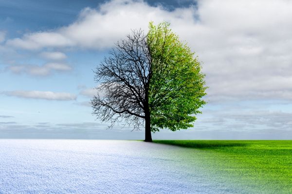 2023 Asia Climate Solutions Design Grant Programme