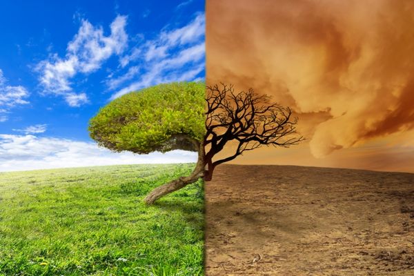 UNDP Call for Proposals: GYPI Climate Risk Assessment in Papua New Guinea