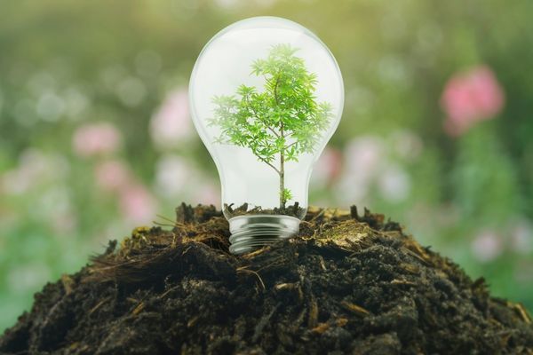 Gender Ecologies Grant Programme (Pakistan and the UK)