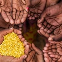 Call for CSOs: Participate in a Grant Program that promote Transformation of Food Systems - fundsforNGOs Call for CSOs: Participate in a Grant Program that promote Transformation of Food Systems