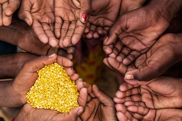 Call for CSOs: Participate in a Grant Program that promote Transformation of Food Systems