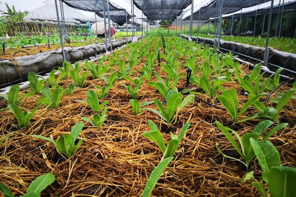 EIT Food Open Innovation Call 2023 - Apply Now!