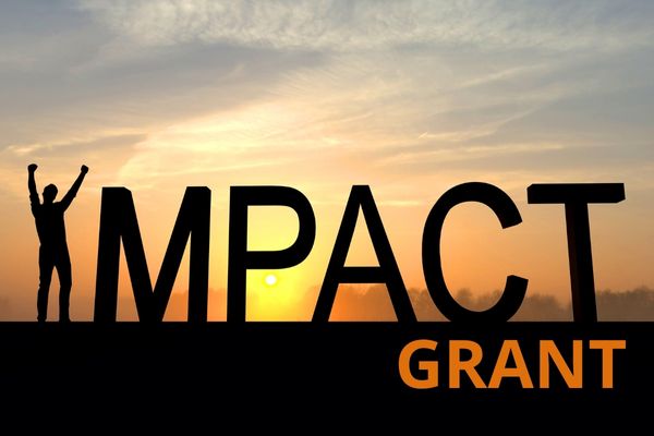 IMPACT Funding ($10,000 and $100,000) for Projects and Organisations in Australia