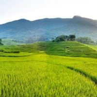 Short Course on Multisectoral Approaches to Nutrition and Food Security (Sri Lanka)