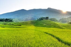 Short Course on Multisectoral Approaches to Nutrition and Food Security (Sri Lanka)