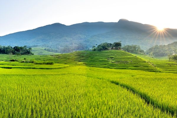Short Course on Multisectoral Approaches to Nutrition and Food Security (Sri Lanka)