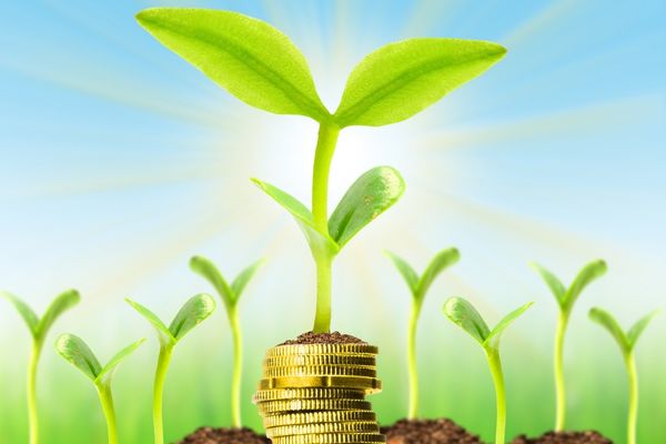 Request for Applications: Seeding Solutions Program (United States)