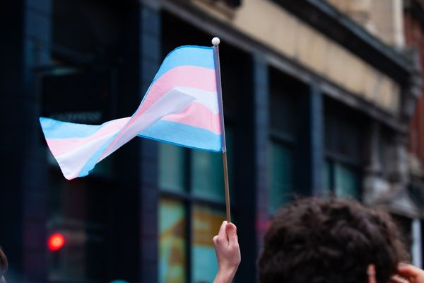 Gender Reveal's Trans POC Grant Program