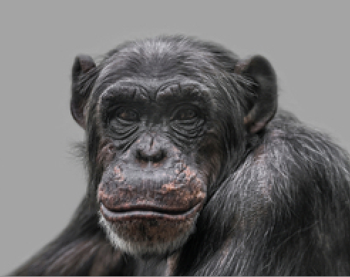 conservation - fundsforNGOs