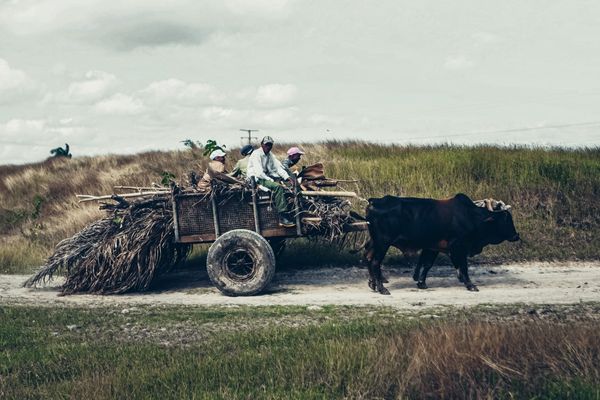Blue Action Fund: Call for Proposals Focusing on the Asia-Pacific Region