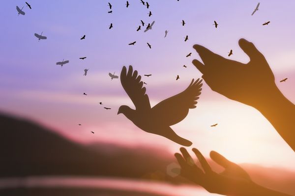 CFPs: Strengthening Communal Peace and Social Cohesion Project (South Sudan)