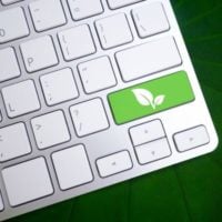 Thrive Global Accelerator for Agrifood Start-ups - fundsforNGOs Thrive Global Accelerator for Agrifood Start-ups