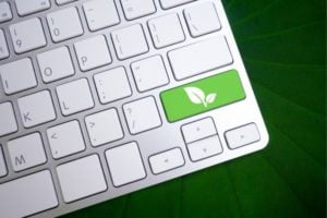 Thrive Global Accelerator for Agrifood Start-ups