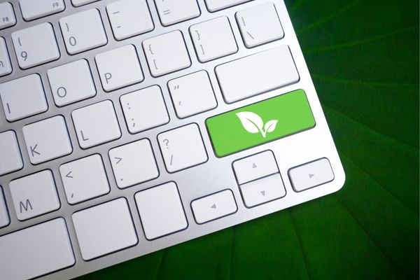 Thrive Global Accelerator for Agrifood Start-ups