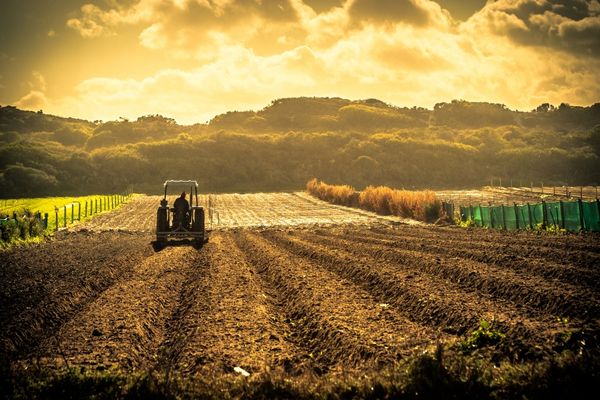 The Fruitguys Community Fund Grant Program (US)
