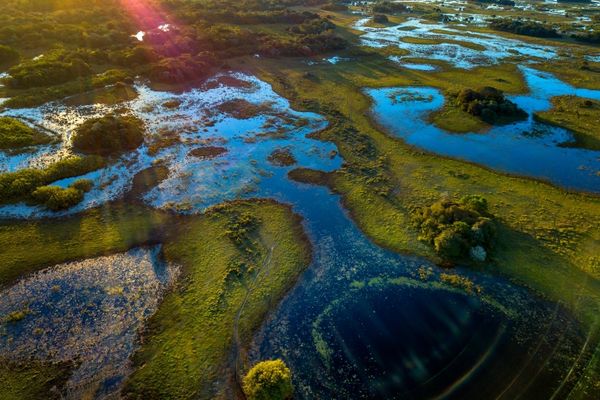European Commission Request for Proposals: Unlocking Financial Flows Towards Reversing of Biodiversity Loss