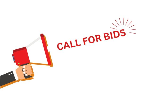 Call for Bids: Romania’s Roadmap to a Greener Financial System
