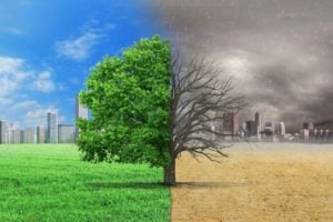 Win $50,000 for Your Climate Solution: Enter the 2024 Keeling Curve Prize!