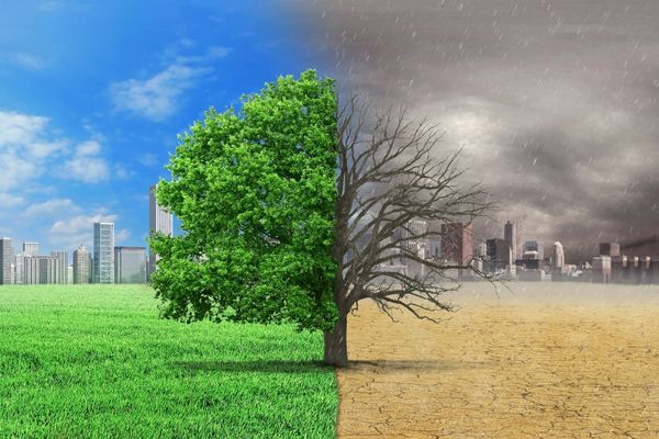 Win $50,000 for Your Climate Solution: Enter the 2024 Keeling Curve Prize!
