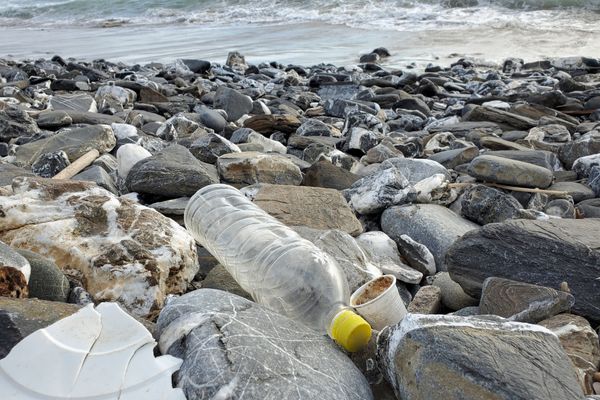 First Nations Environmental Contaminants Program (Canada) - fundsforNGOs First Nations Environmental Contaminants Program (Canada)