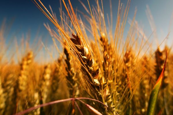 Winter Food Fund for Chichester - United Kingdom